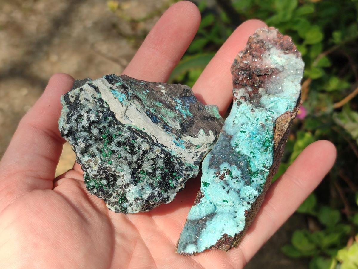 Natural Drusy Coated Chrysocolla with Malachite and Heterogenite Specimens x 6 From Lupoto Mine, Congo