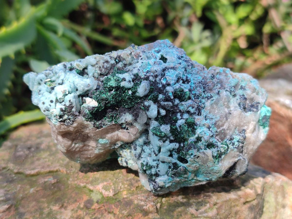Natural Drusy Coated Chrysocolla with Malachite and Heterogenite Specimens x 6 From Lupoto Mine, Congo
