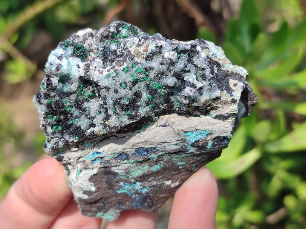 Natural Drusy Coated Chrysocolla with Malachite and Heterogenite Specimens x 6 From Lupoto Mine, Congo