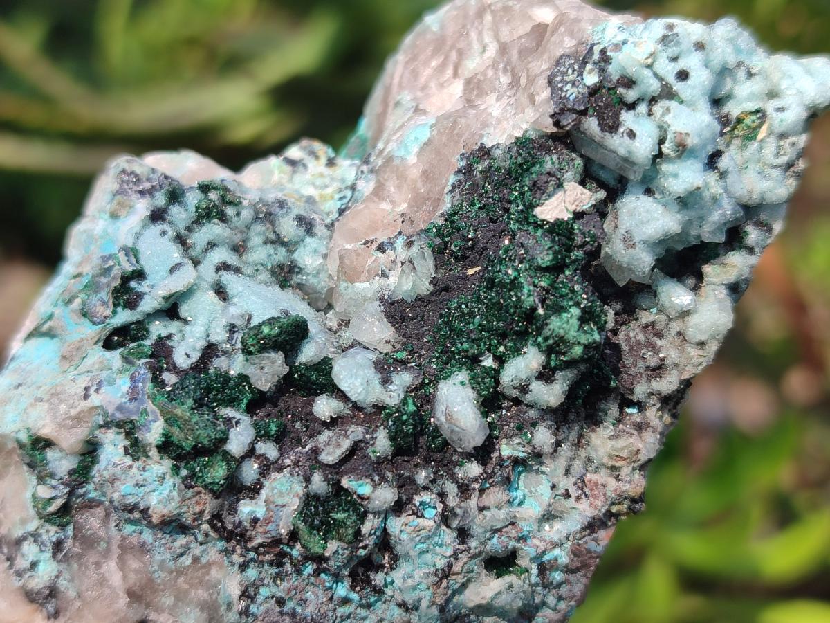 Natural Drusy Coated Chrysocolla with Malachite and Heterogenite Specimens x 6 From Lupoto Mine, Congo
