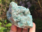 Natural Drusy Coated Chrysocolla with Malachite and Heterogenite Specimens x 6 From Lupoto Mine, Congo