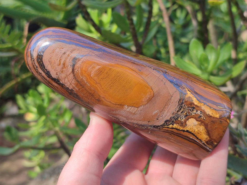 Polished Golden Tigers Eye Standing Display Pieces x 2 From Prieska, South Africa