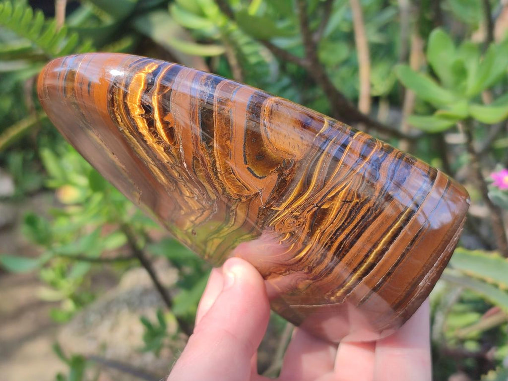 Polished Golden Tigers Eye Standing Display Pieces x 2 From Prieska, South Africa