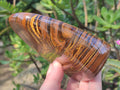Polished Golden Tigers Eye Standing Display Pieces x 2 From Prieska, South Africa