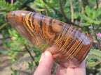 Polished Golden Tigers Eye Standing Display Pieces x 2 From Prieska, South Africa