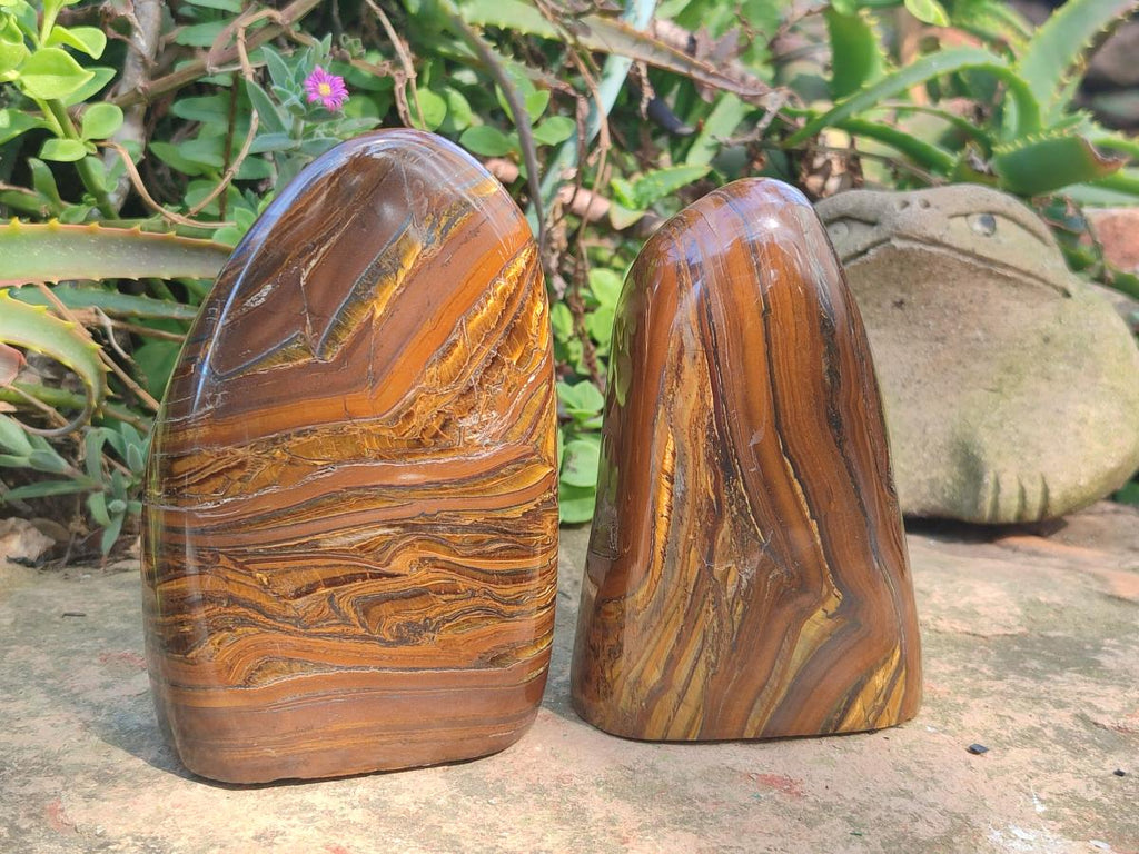 Polished Golden Tigers Eye Standing Display Pieces x 2 From Prieska, South Africa