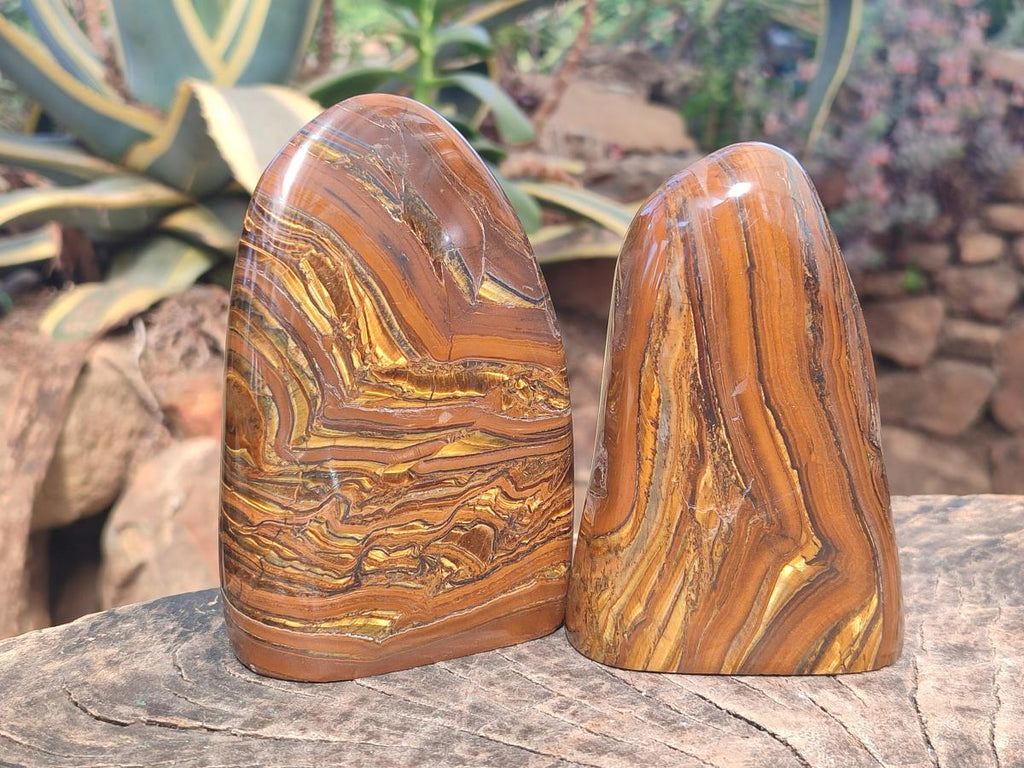 Polished Golden Tigers Eye Standing Display Pieces x 2 From Prieska, South Africa