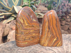 Polished Golden Tigers Eye Standing Display Pieces x 2 From Prieska, South Africa