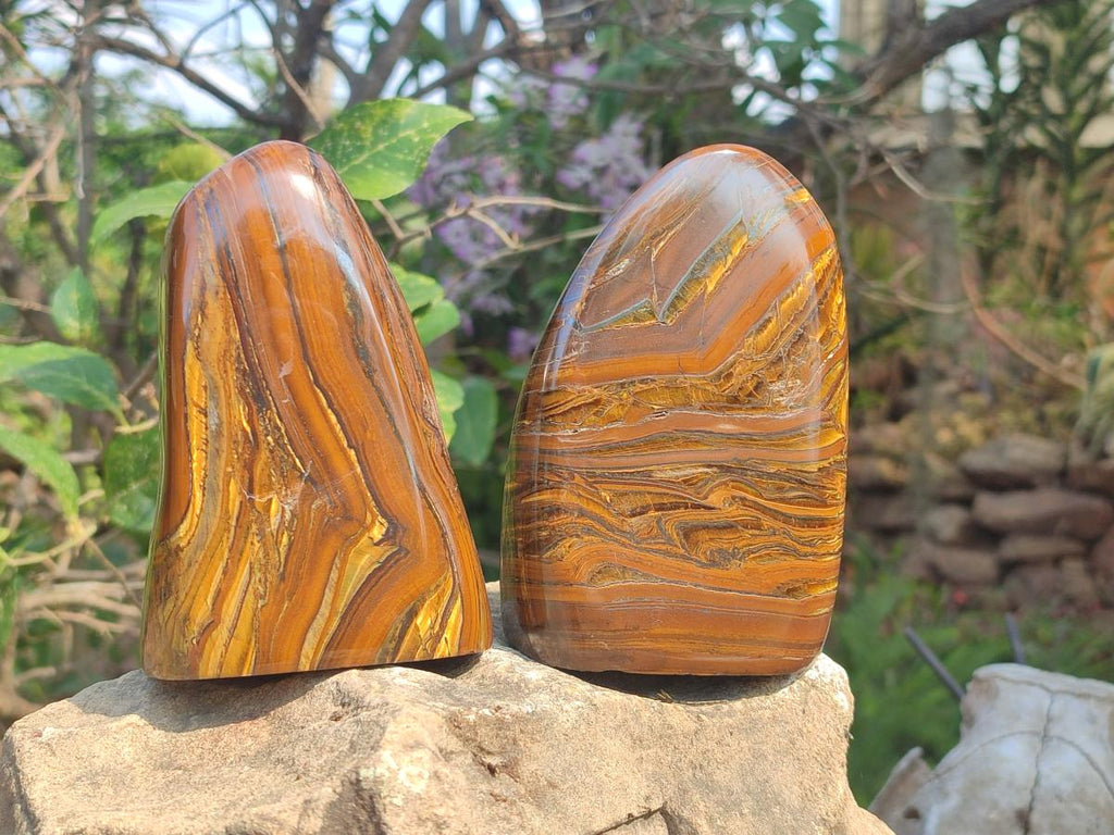 Polished Golden Tigers Eye Standing Display Pieces x 2 From Prieska, South Africa