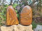 Polished Golden Tigers Eye Standing Display Pieces x 2 From Prieska, South Africa
