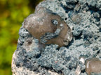 Natural Large Fibrous Foitite Specimen with Smokey Quartz on Feldspar x 1 From Erongo, Namibia