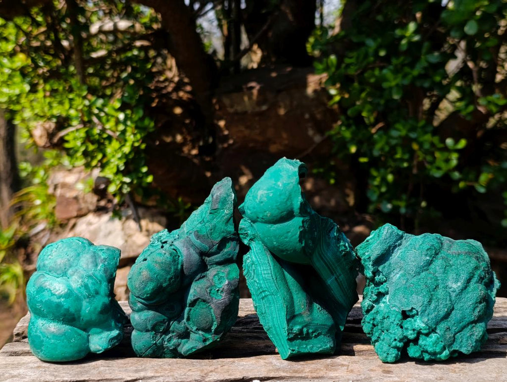 Natural Botryoidal Malachite Specimens x 4 From Congo