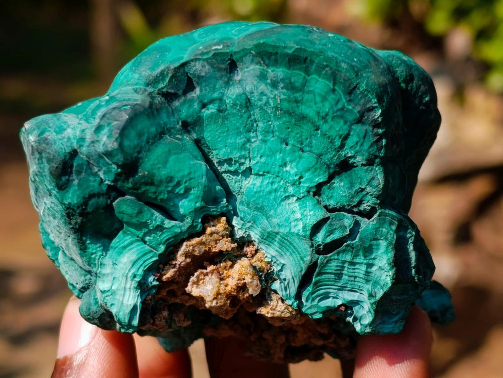 Natural Botryoidal Malachite Specimens x 4 From Congo