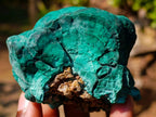Natural Botryoidal Malachite Specimens x 4 From Congo