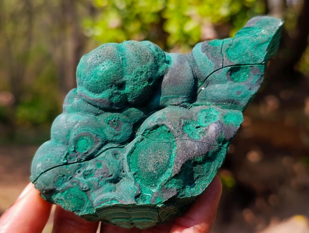 Natural Botryoidal Malachite Specimens x 4 From Congo