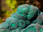 Natural Botryoidal Malachite Specimens x 4 From Congo