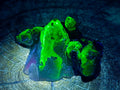 Natural Mix of Mineral Specimens x 12 From Erongo, Namibia