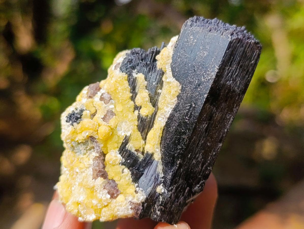Natural Mix of Mineral Specimens x 12 From Erongo, Namibia