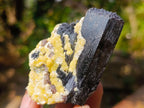 Natural Mix of Mineral Specimens x 12 From Erongo, Namibia