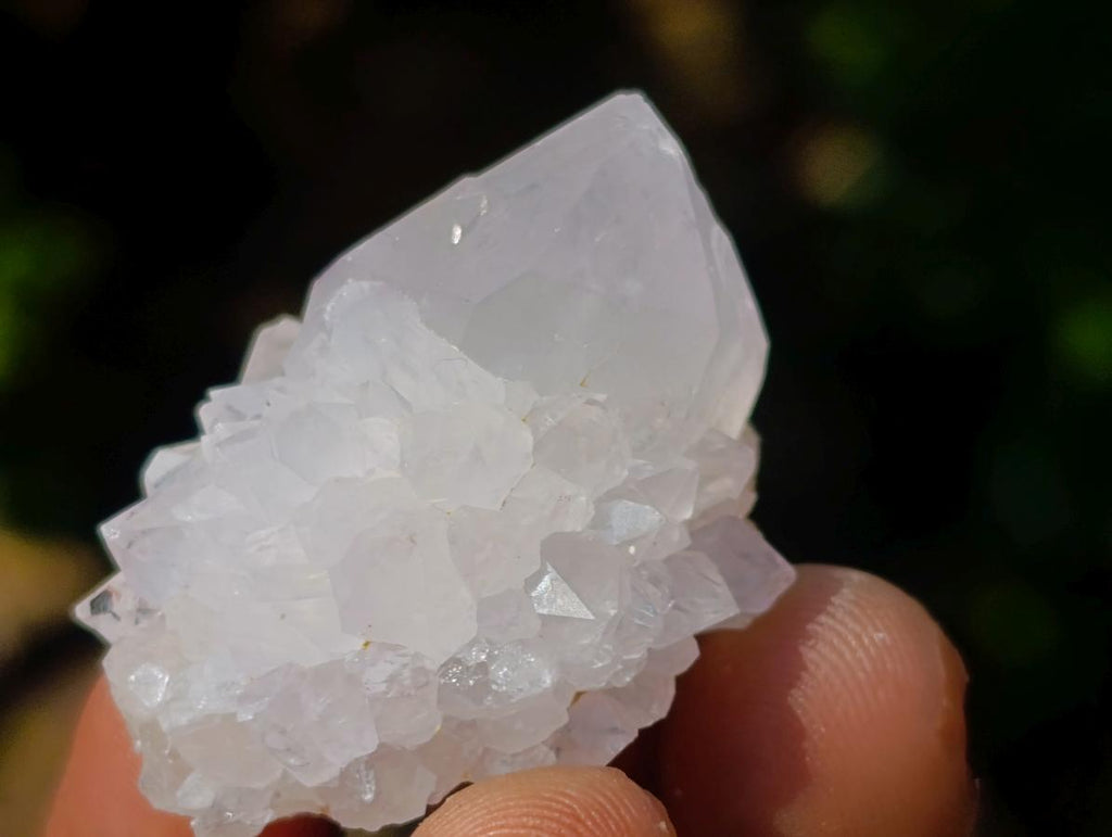 Natural Spirit Quartz Crystals x 83 From Boekenhouthoek, South Africa