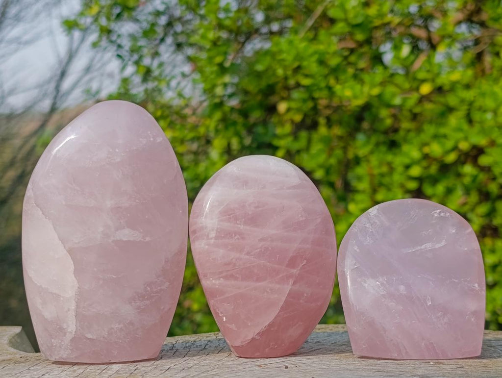 Polished Rose Quartz Standing Display Pieces x 12 From Zimbabwe