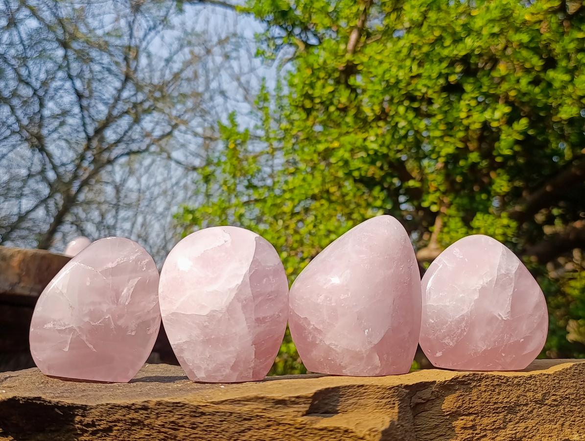 Polished Rose Quartz Standing Display Pieces x 12 From Zimbabwe