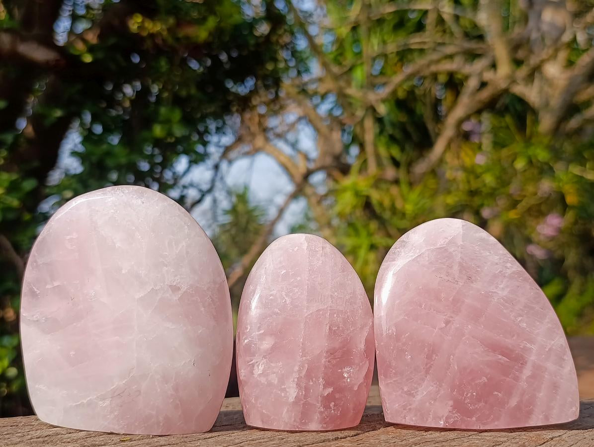 Polished Rose Quartz Standing Display Pieces x 12 From Zimbabwe