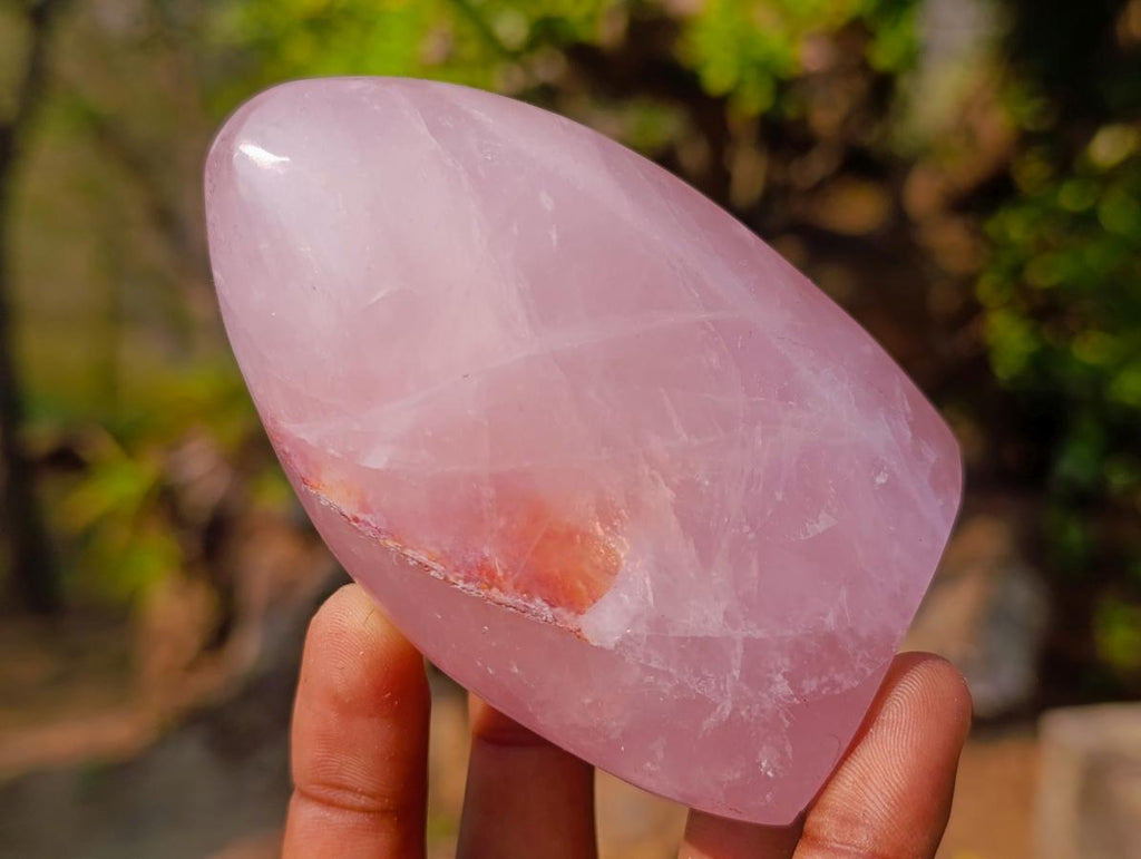 Polished Rose Quartz Standing Display Pieces x 12 From Zimbabwe
