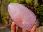Polished Rose Quartz Standing Display Pieces x 12 From Zimbabwe