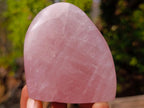 Polished Rose Quartz Standing Display Pieces x 12 From Zimbabwe