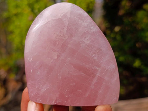 Polished Rose Quartz Standing Display Pieces x 12 From Zimbabwe