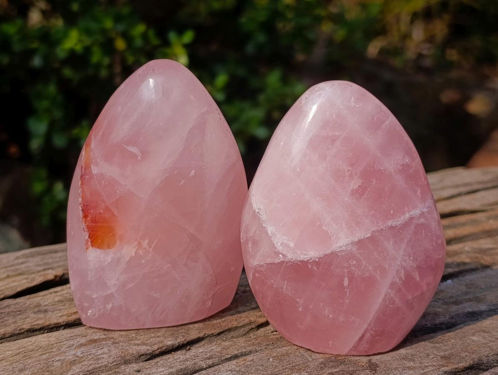 Polished Rose Quartz Standing Display Pieces x 12 From Zimbabwe