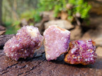 Natural Spirit Amethyst Clusters x 37 From Boekenhouthoek, South Africa