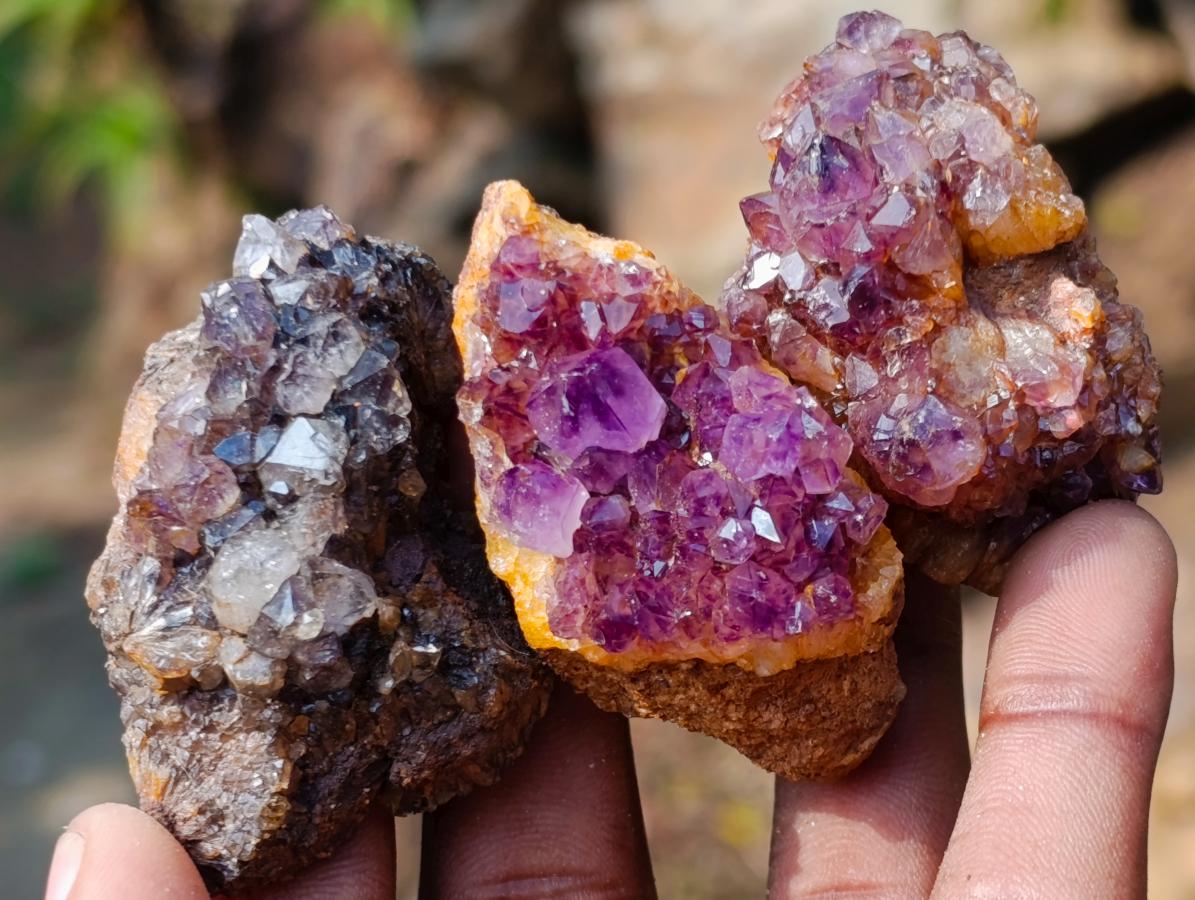Natural Spirit Amethyst Clusters x 37 From Boekenhouthoek, South Africa