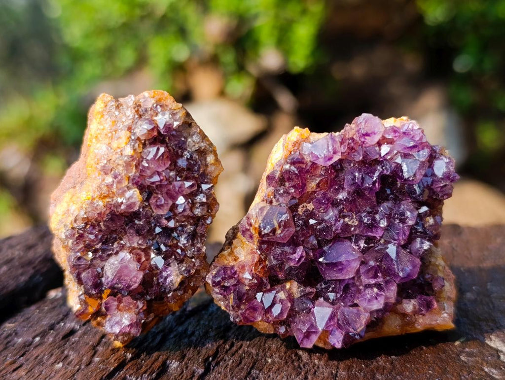 Natural Spirit Amethyst Clusters x 37 From Boekenhouthoek, South Africa