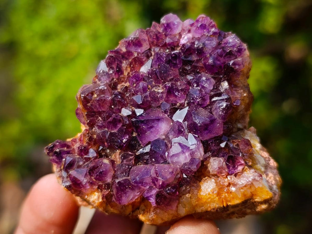 Natural Spirit Amethyst Clusters x 37 From Boekenhouthoek, South Africa