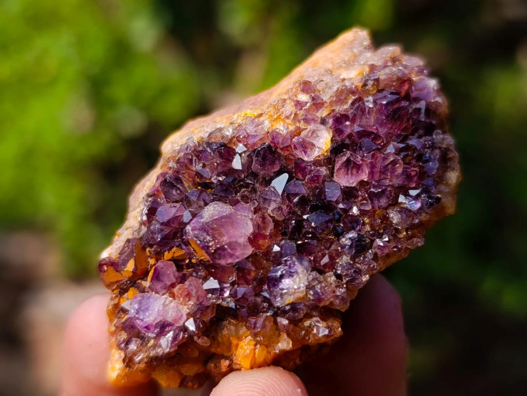 Natural Spirit Amethyst Clusters x 37 From Boekenhouthoek, South Africa