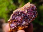 Natural Spirit Amethyst Clusters x 37 From Boekenhouthoek, South Africa
