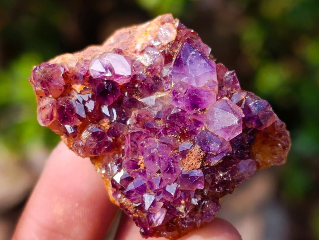 Natural Spirit Amethyst Clusters x 37 From Boekenhouthoek, South Africa