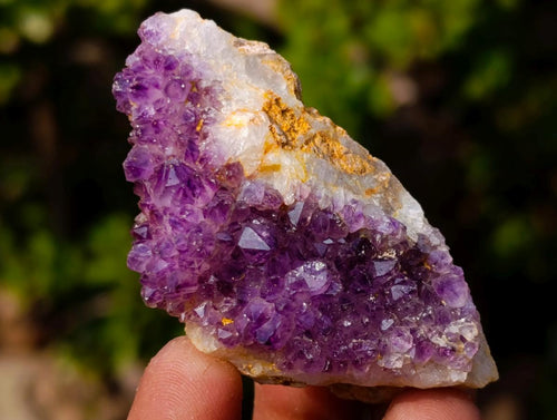 Natural Spirit Amethyst Clusters x 37 From Boekenhouthoek, South Africa