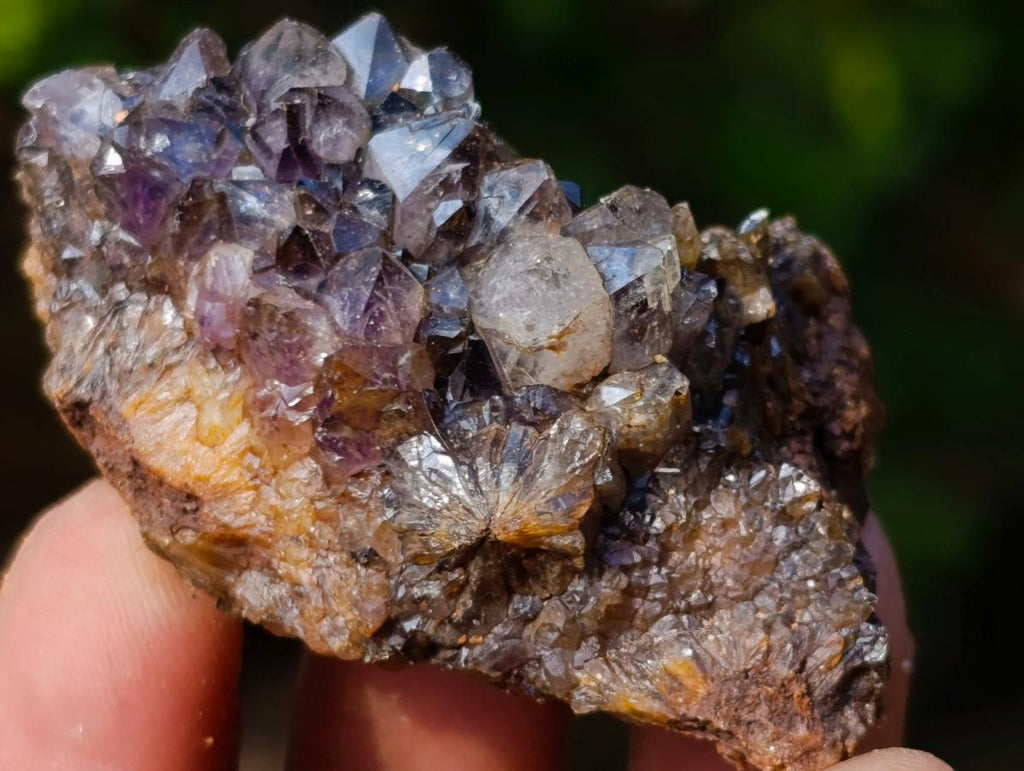 Natural Spirit Amethyst Clusters x 37 From Boekenhouthoek, South Africa