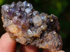 Natural Spirit Amethyst Clusters x 37 From Boekenhouthoek, South Africa