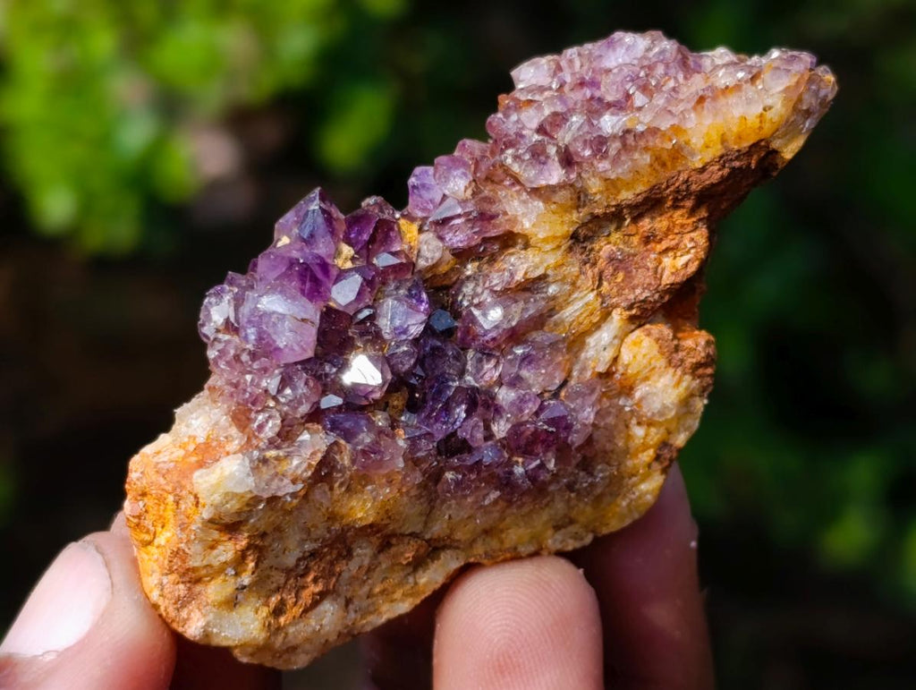 Natural Spirit Amethyst Clusters x 37 From Boekenhouthoek, South Africa