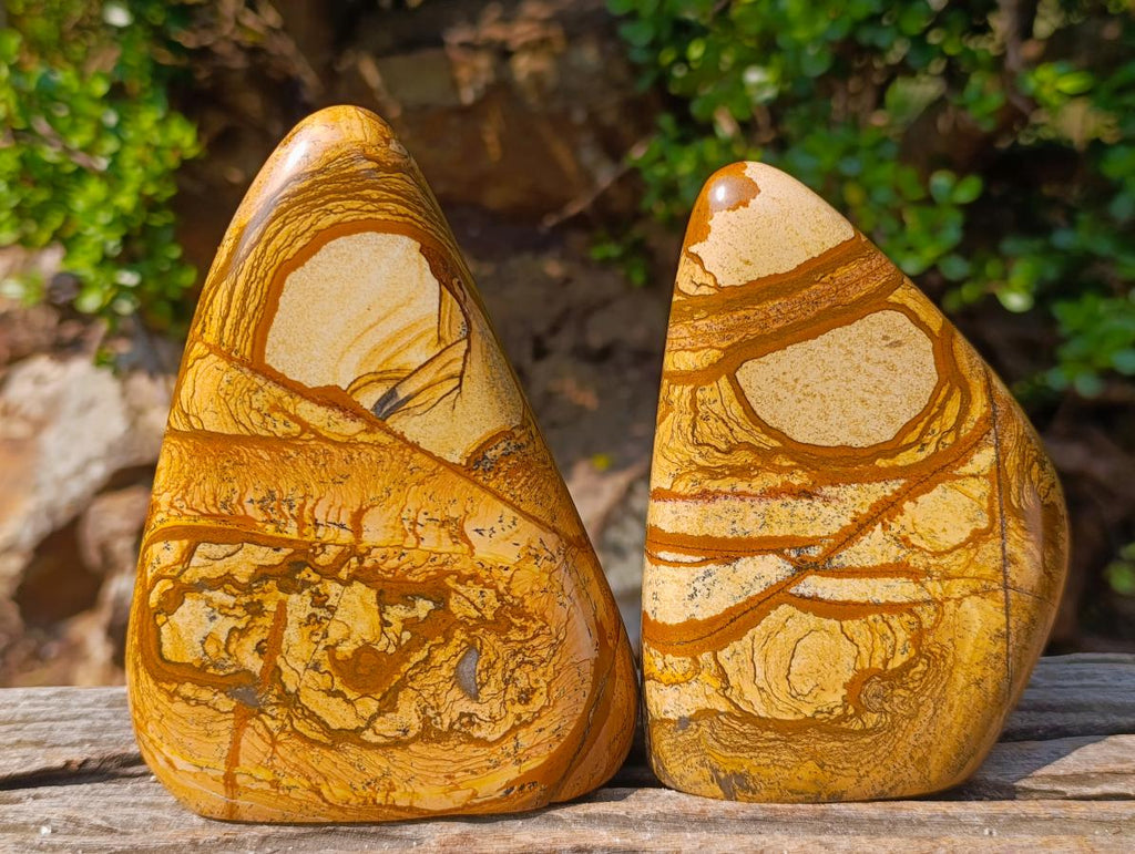 Polished Picture Stone Jasper Standing Display Pieces x 2 From Ais-Ais, Namibia