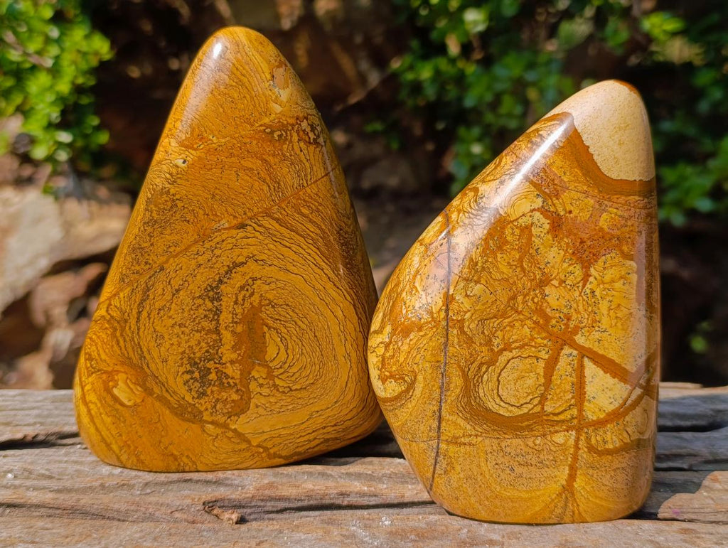 Polished Picture Stone Jasper Standing Display Pieces x 2 From Ais-Ais, Namibia