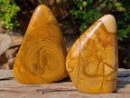 Polished Picture Stone Jasper Standing Display Pieces x 2 From Ais-Ais, Namibia