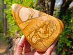 Polished Picture Stone Jasper Standing Display Pieces x 2 From Ais-Ais, Namibia