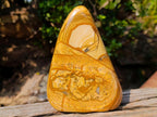 Polished Picture Stone Jasper Standing Display Pieces x 2 From Ais-Ais, Namibia