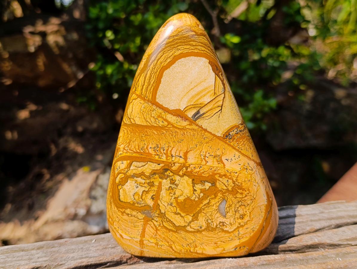 Polished Picture Stone Jasper Standing Display Pieces x 2 From Ais-Ais, Namibia