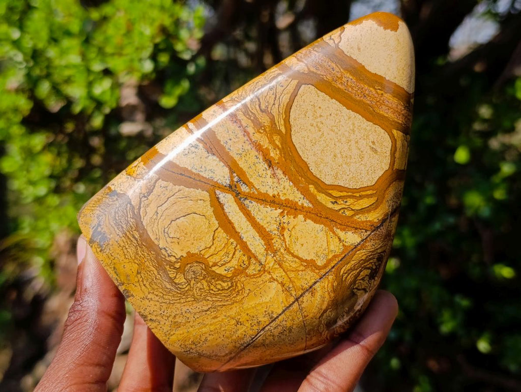 Polished Picture Stone Jasper Standing Display Pieces x 2 From Ais-Ais, Namibia